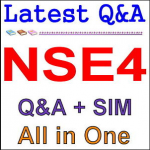 nse4