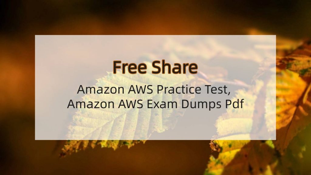 Amazon AWS Exam Dumps